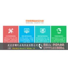 武汉网络公司