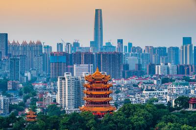 武汉220 个事项凭"一张身份证办成事"