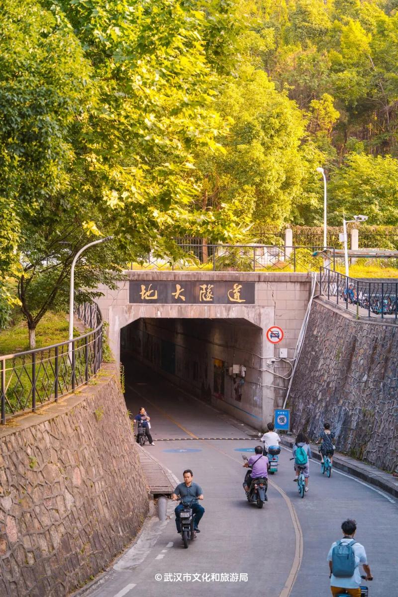 一夜降温!武汉东湖的34座山,有新进展